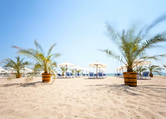 With Terrace In Complex *